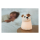 InnoGIO Silikonowa lampka nocna BARKY THE DOG - 1537906 - zdjęcie 3